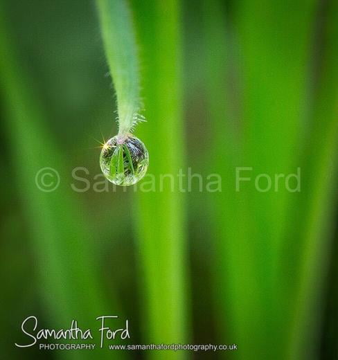 Reflections in Raindrop