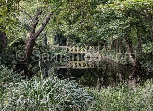 Hidden Bridge