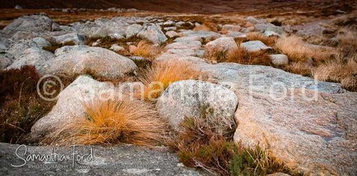 Rocky Terrain